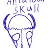 Antaloap Skull