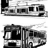 Max Train and Trimet Bus